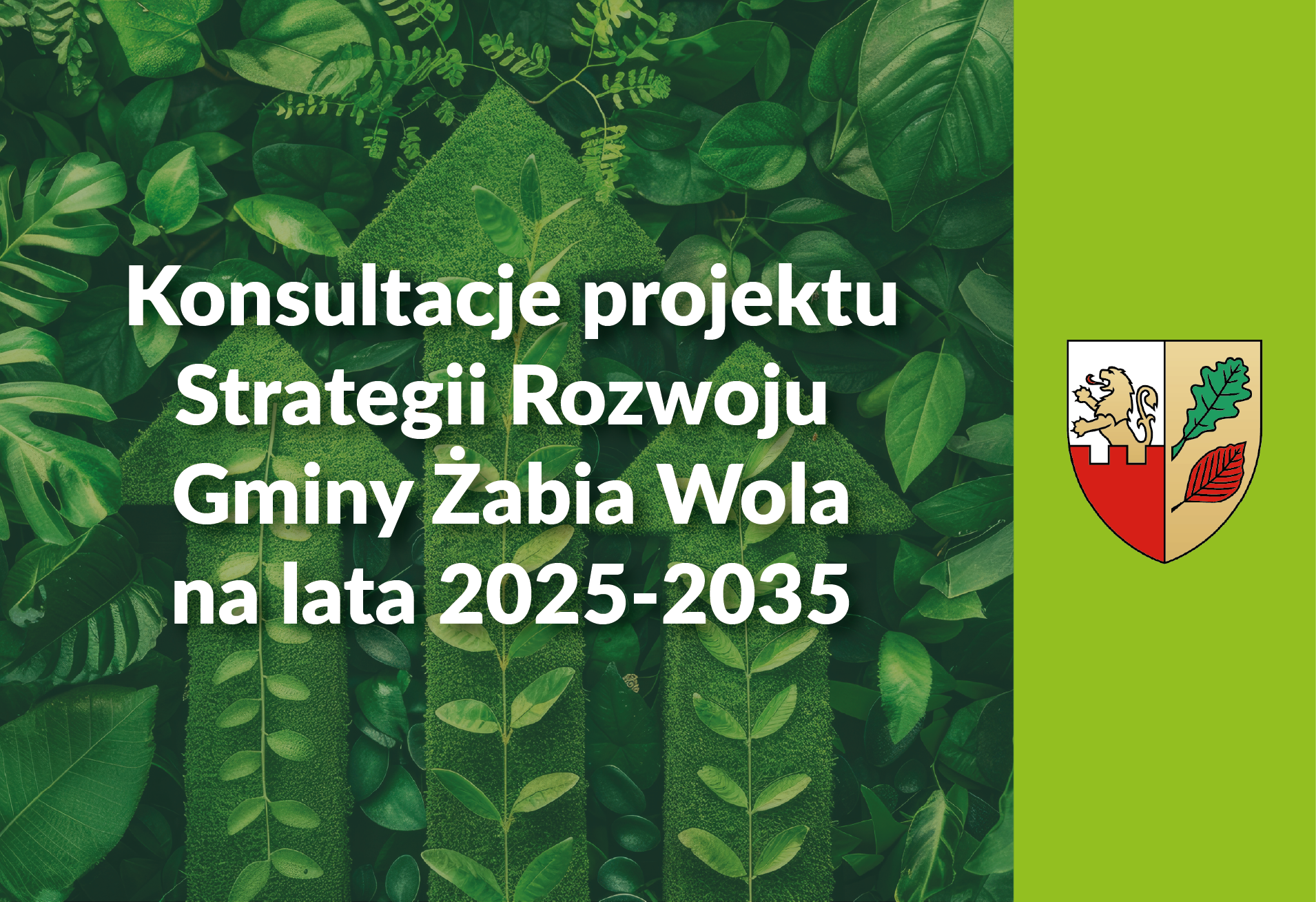 Konsultacje projektu Strategii Rozwoju Gminy Żabia Wola na lata 2025-2035