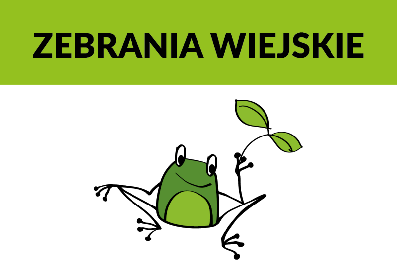 Zebrania wiejskie