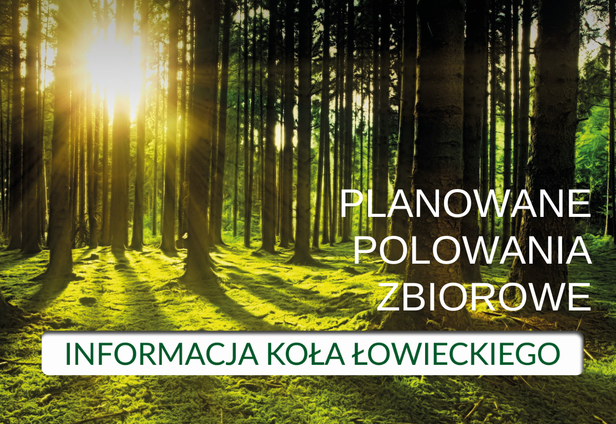 TUR-JELEN  Informacja Koła Łowieckiego nr 35 „TUR-JELEŃ”