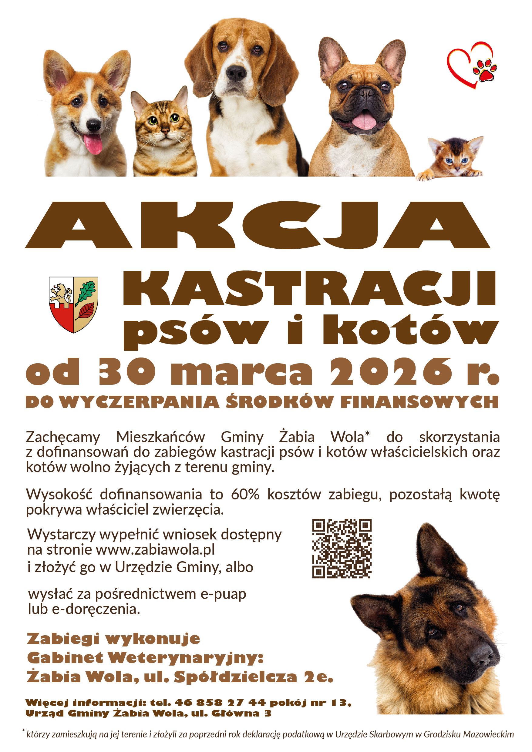 Akcja kastracji psów i kotów 2026