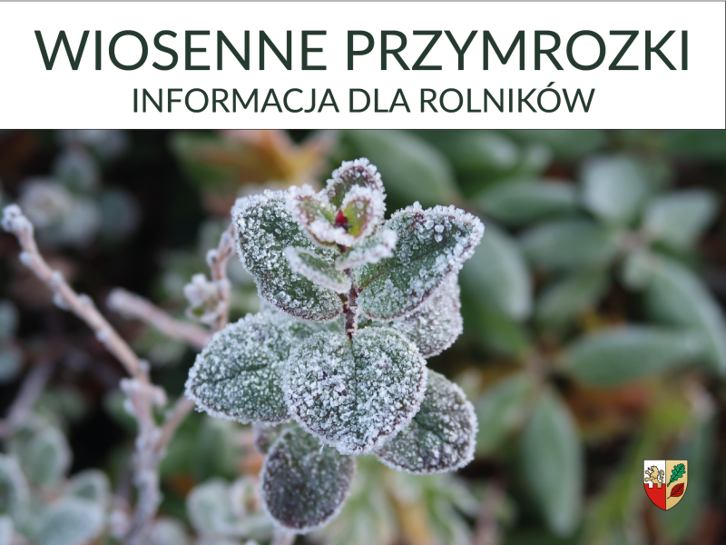 Rolnicy mogą składać wnioski o oszacowanie strat po wiosennych przymrozkach